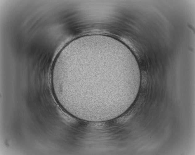 X0000097981474200804141106