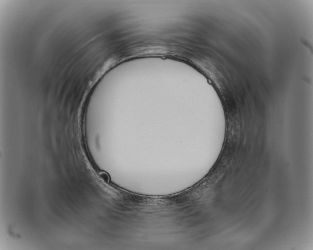 X0000097981475200804141106