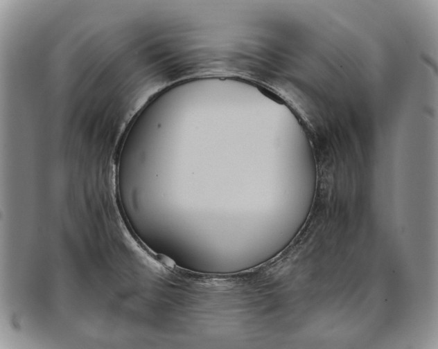 X0000097981476200804141106