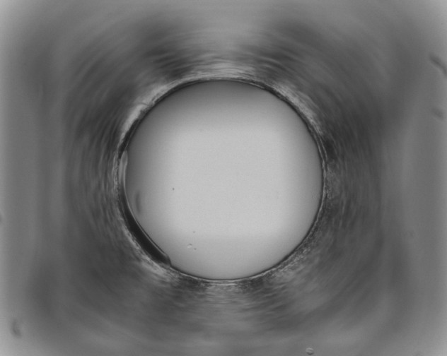 X0000097981477200804141106