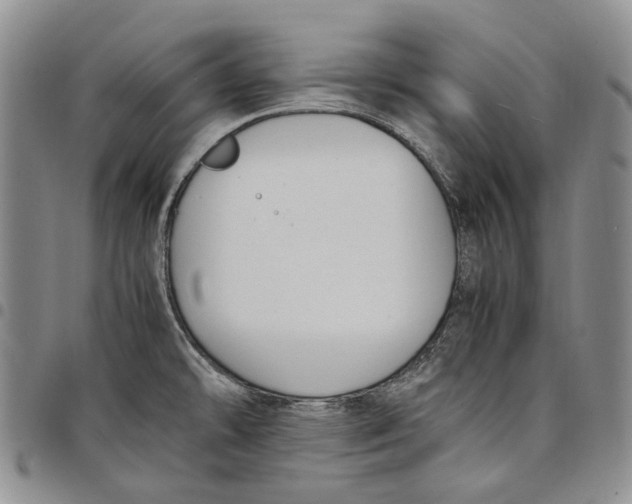 X0000097981478200804141106