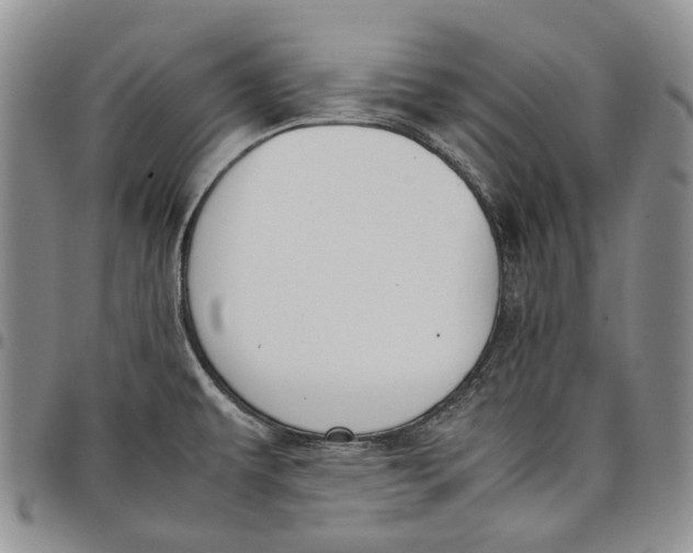 X0000097981479200804141106