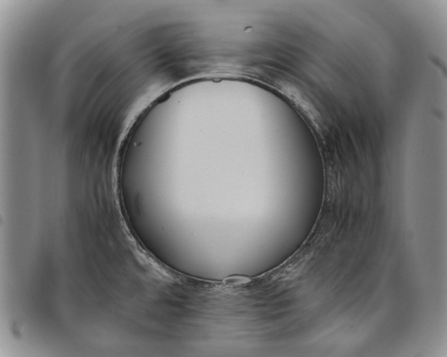 X0000097981480200804141106