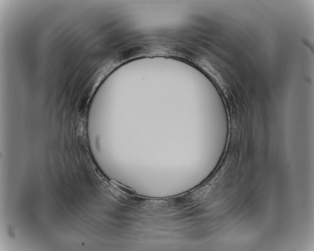 X0000097981481200804141106