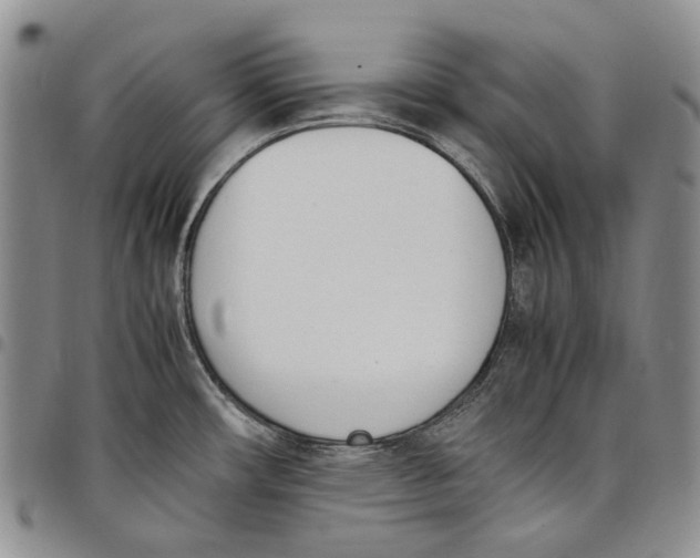 X0000097981482200804141106