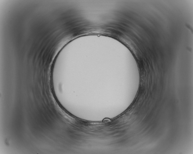 X0000097981483200804141105