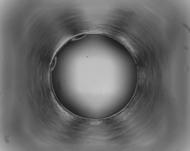 X0000097981484200804141105