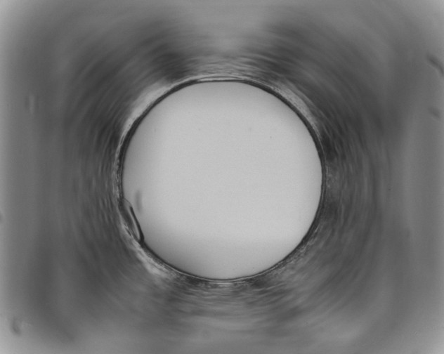 X0000097981485200804141105