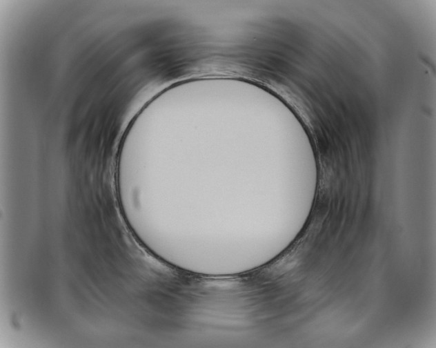 X0000097981486200804141105