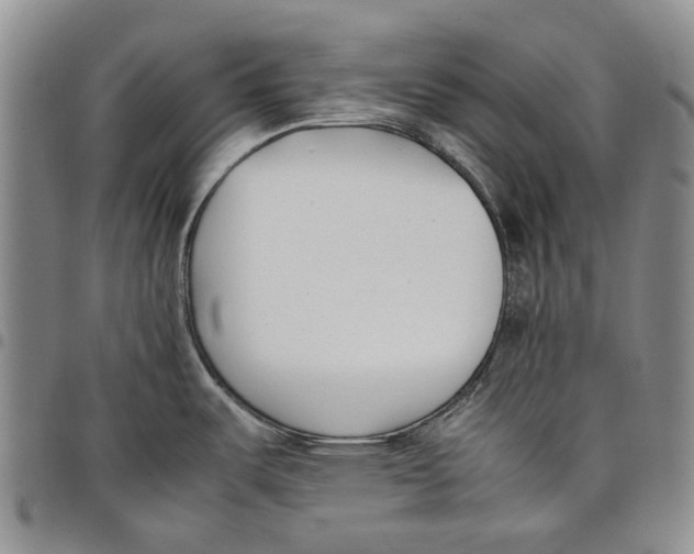 X0000097981487200804141105