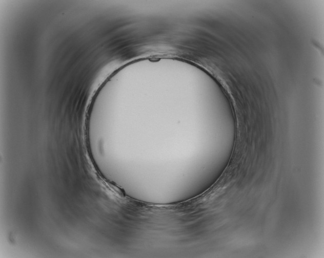 X0000097981488200804141105