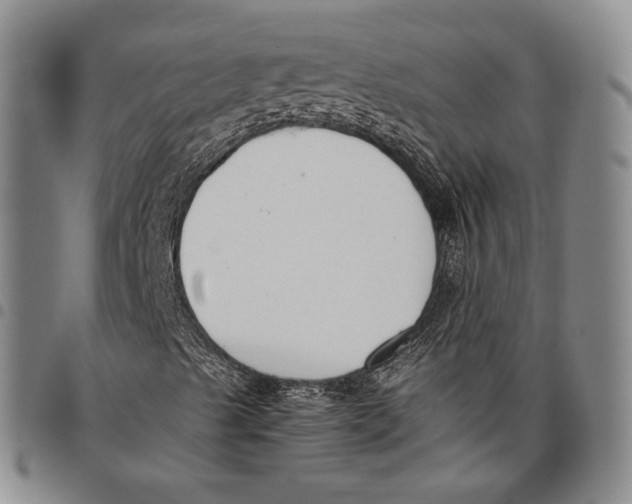 X0000097981489200804141105