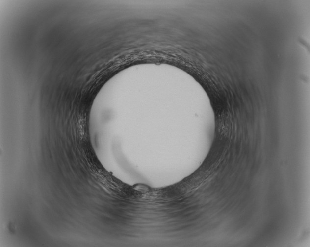 X0000097981490200804141105