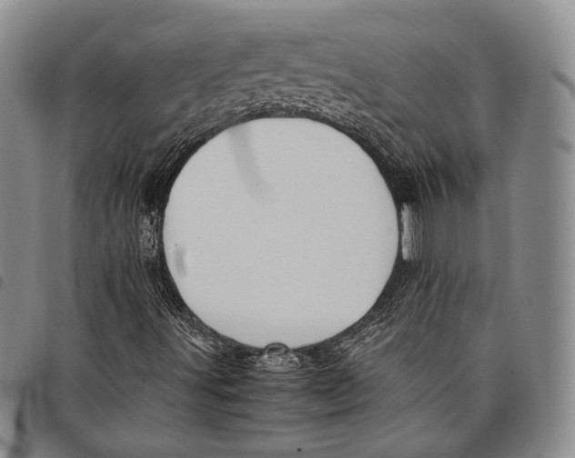 X0000097981491200804141105