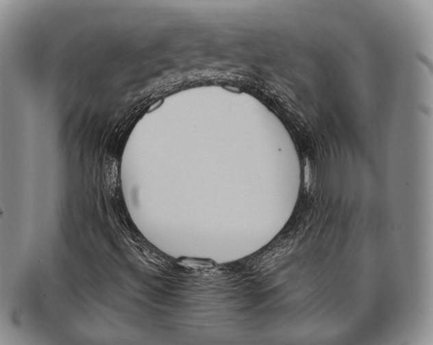 X0000097981492200804141105