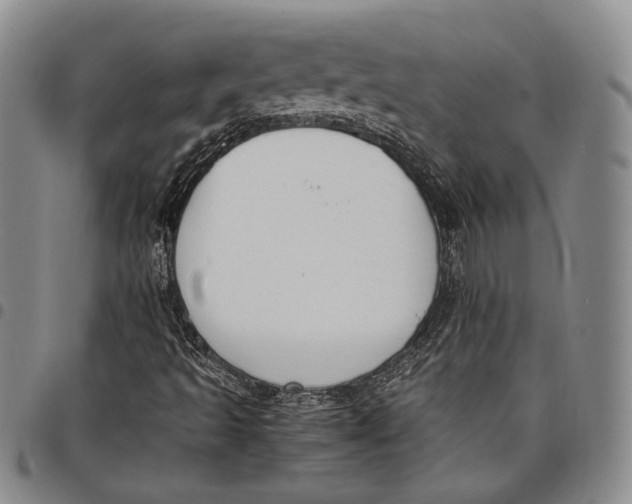 X0000097981493200804141105