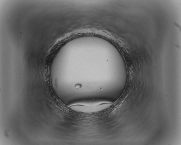 X0000097981494200804141105