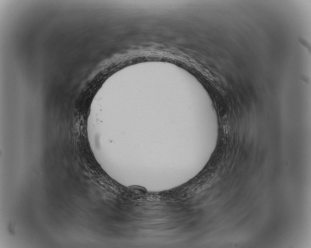 X0000097981495200804141105