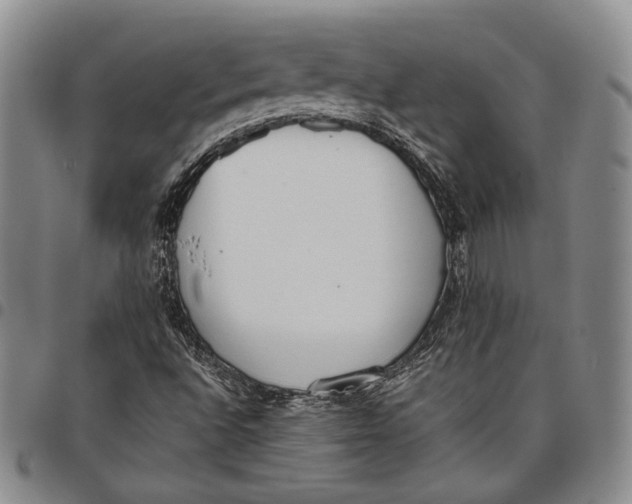 X0000097981496200804141105