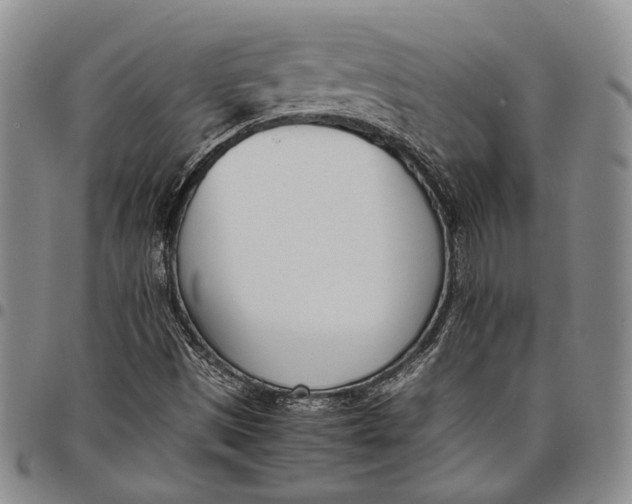 X0000097981497200804141105