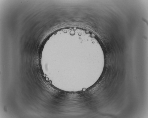 X0000097981498200804141105