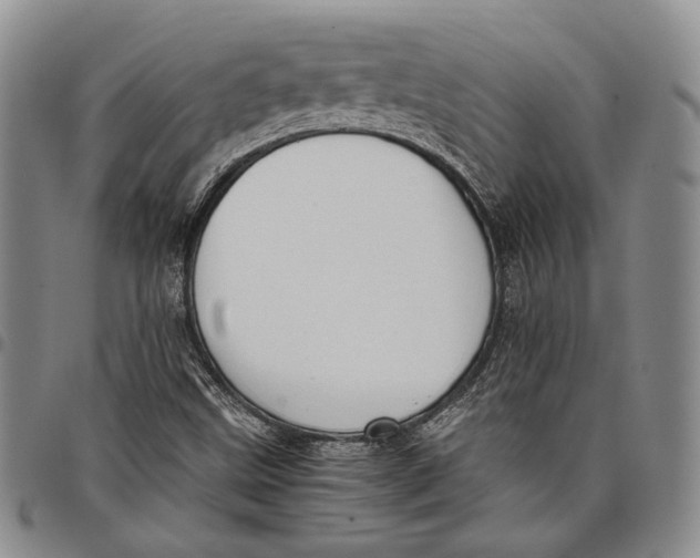 X0000097981499200804141105