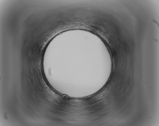 X0000097981500200804141105