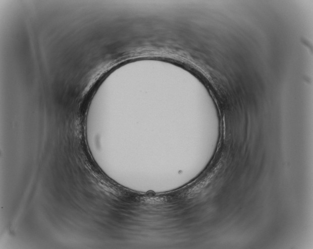 X0000097981501200804141105