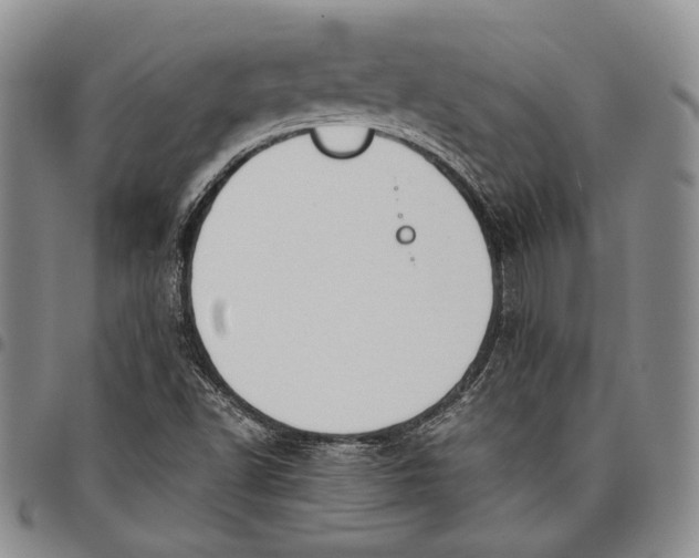 X0000097981502200804141105