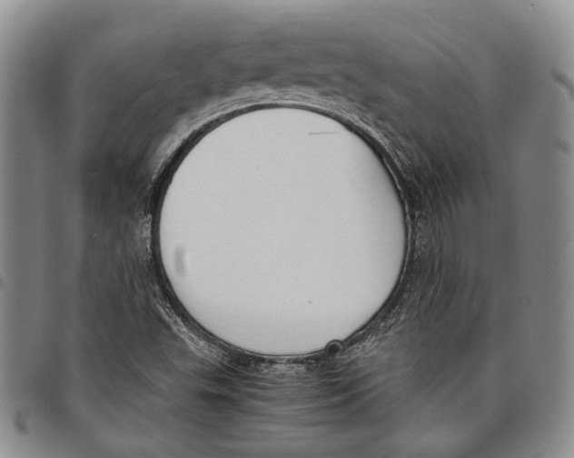 X0000097981503200804141105