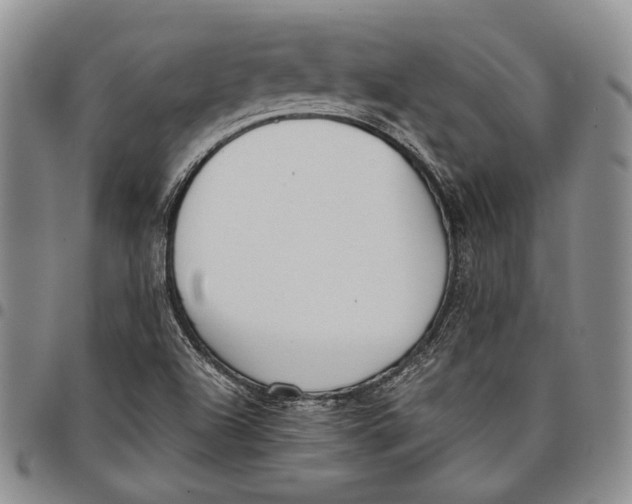 X0000097981504200804141105