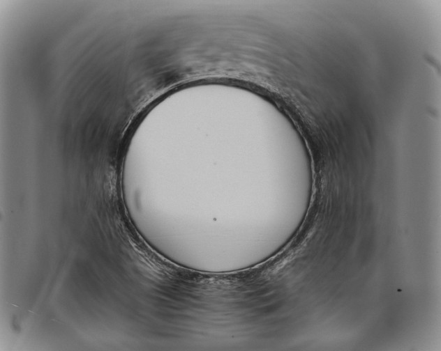 X0000097981505200804141105