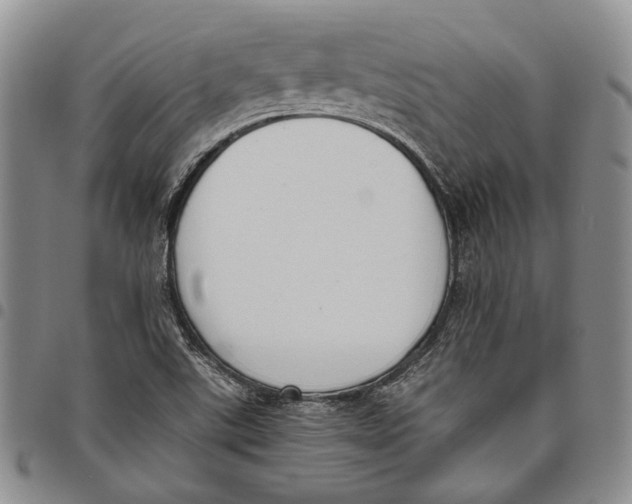 X0000097981507200804141105