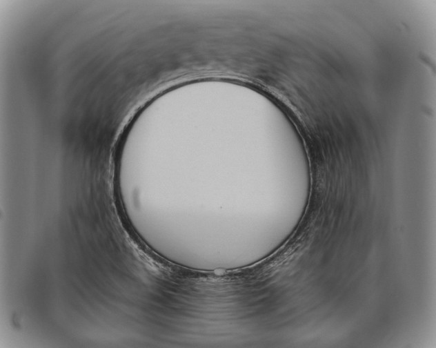 X0000097981508200804141105