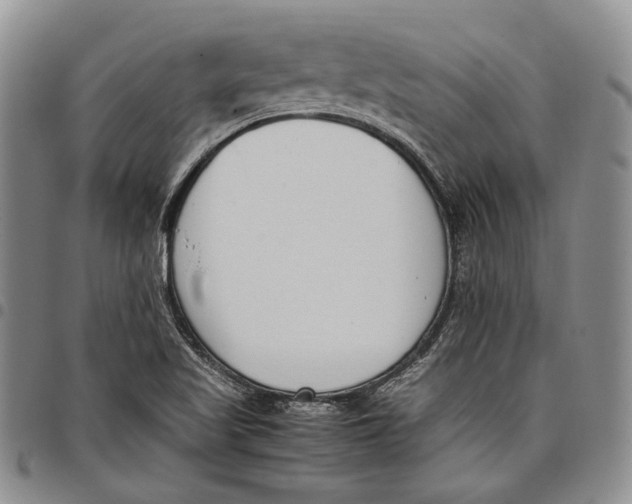 X0000097981509200804141105