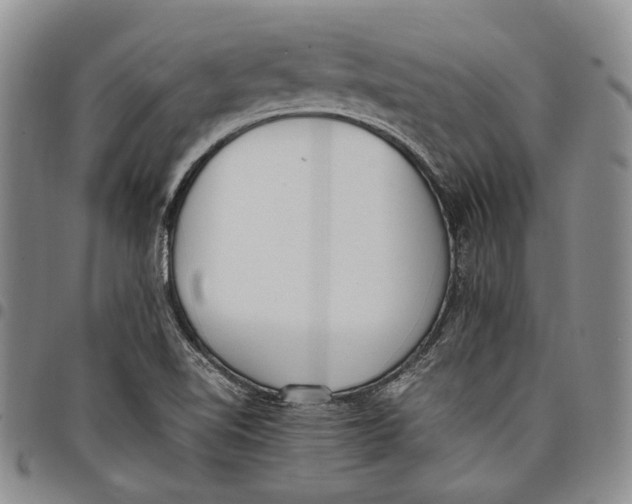 X0000097981510200804141105