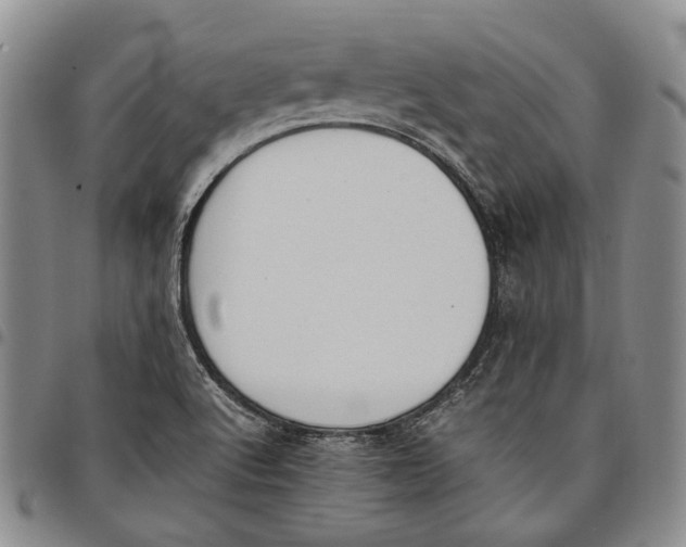 X0000097981512200804141105