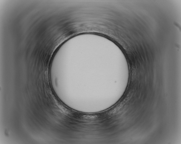 X0000097981513200804141105