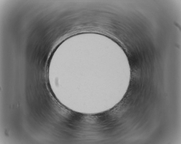 X0000097981514200804141105