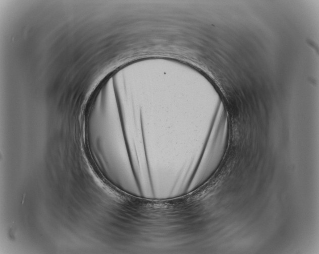 X0000097981515200804141105