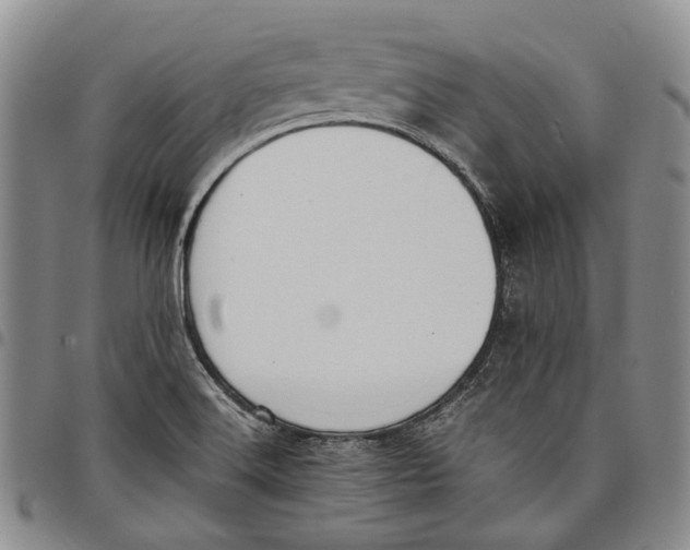 X0000097981516200804141105