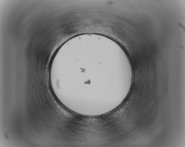 X0000097981517200804141105