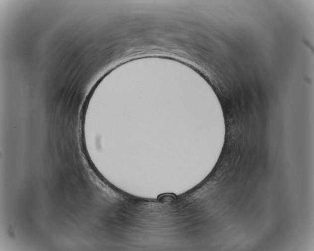 X0000097981518200804141105