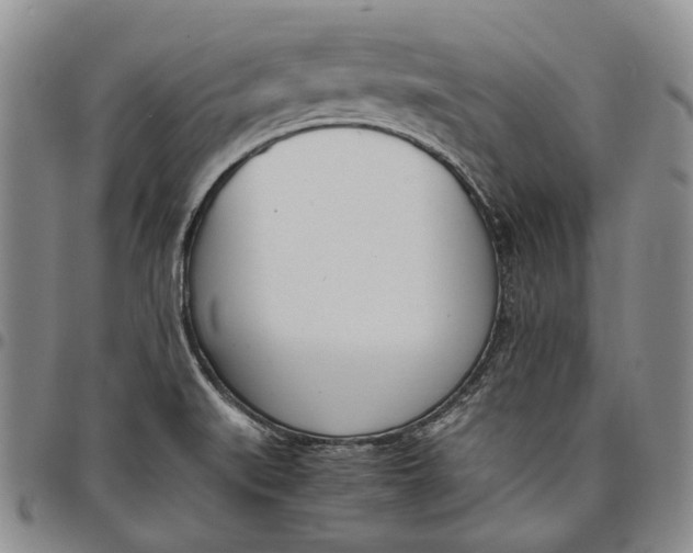 X0000097981519200804141105