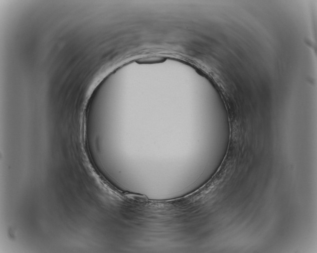 X0000097981520200804141105