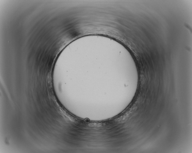 X0000097981521200804141105