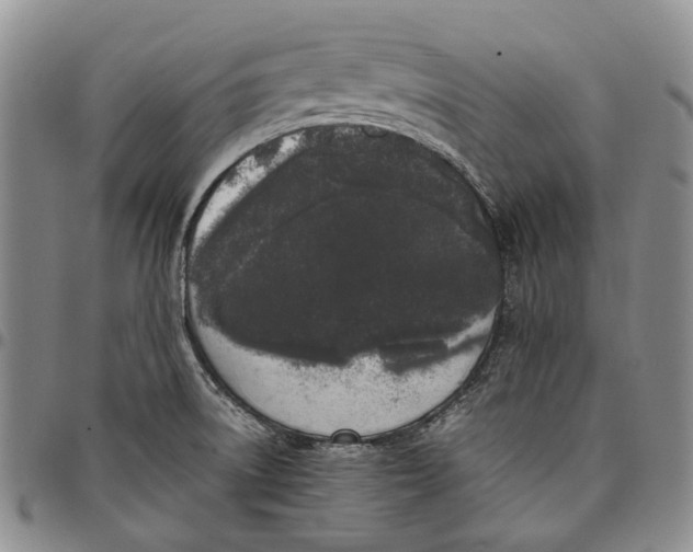 X0000097981522200804141105