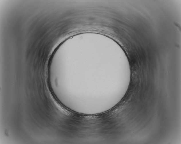 X0000097981523200804141105