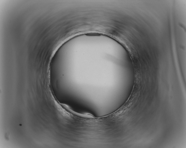 X0000097981524200804141105