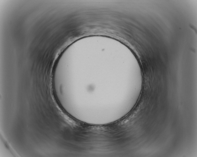 X0000097981525200804141105